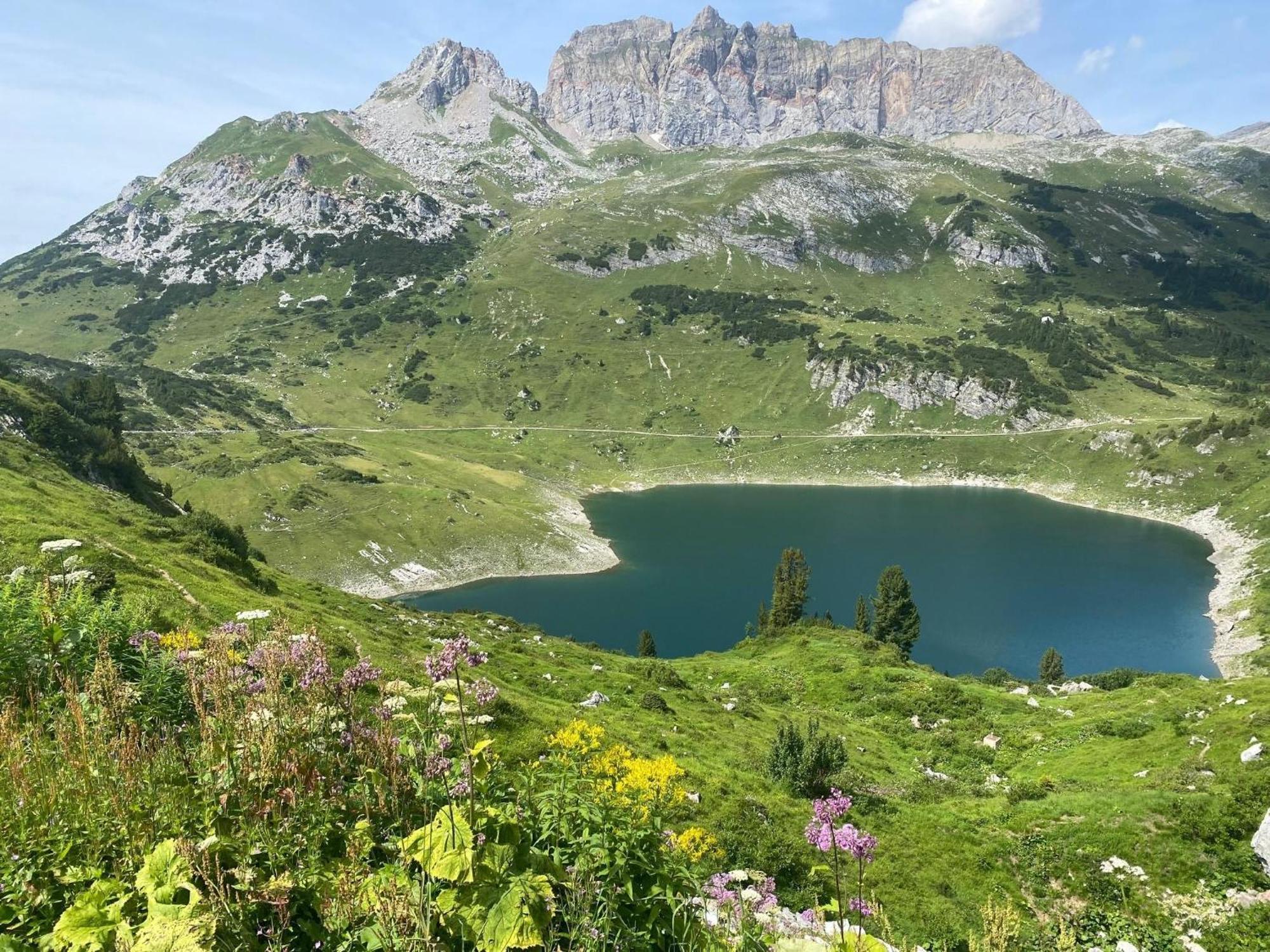 Haus Maschol Διαμέρισμα Wald am Arlberg Εξωτερικό φωτογραφία